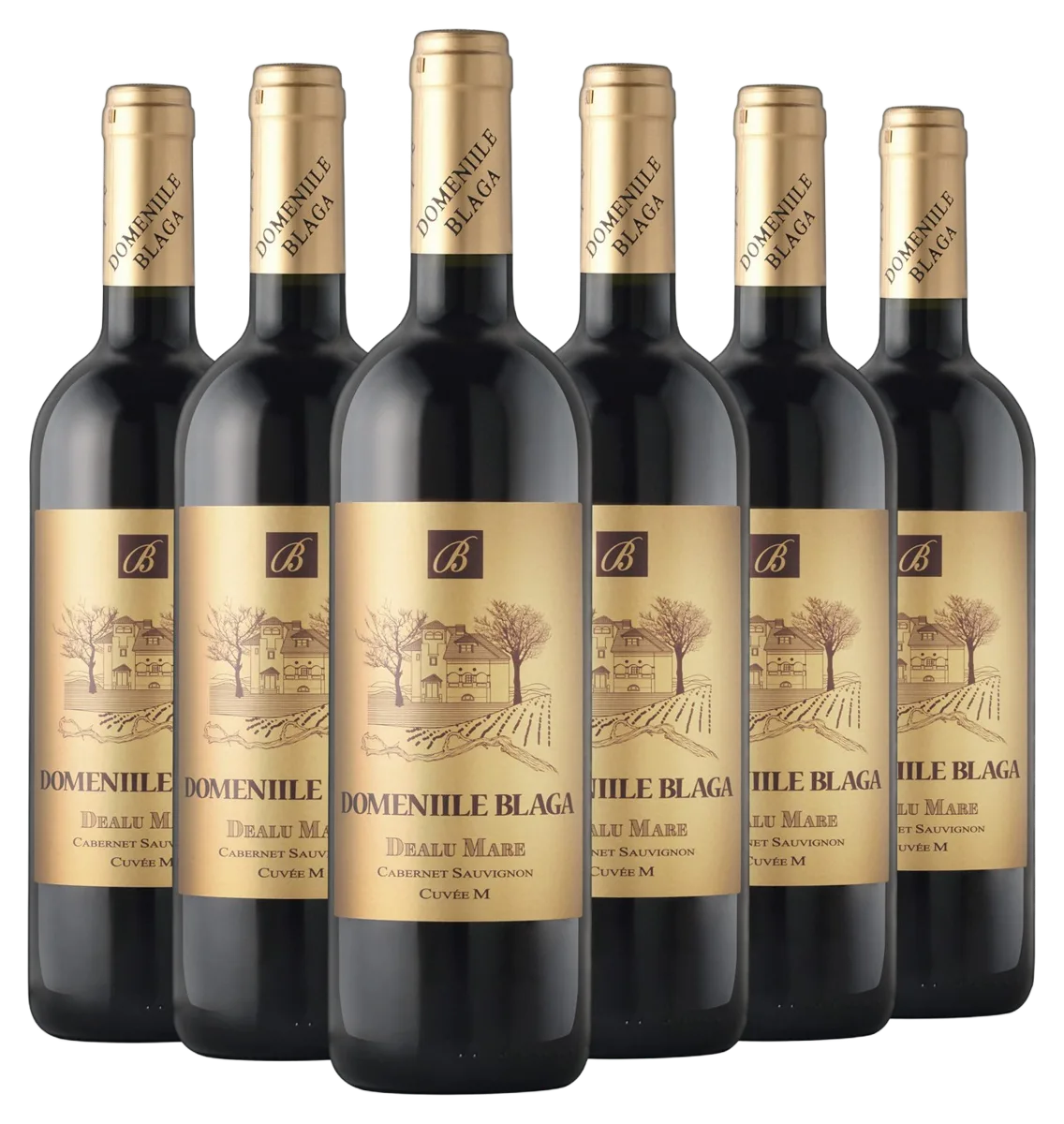 Cabernet Sauvignon Cuvée M
