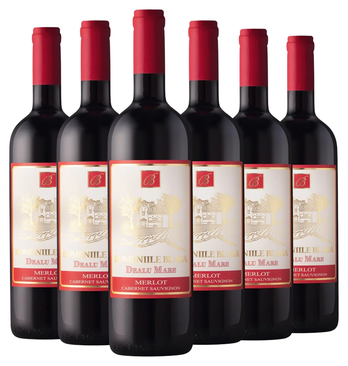 Merlot & Cabernet Sauvignon Vin Rosu Demisec