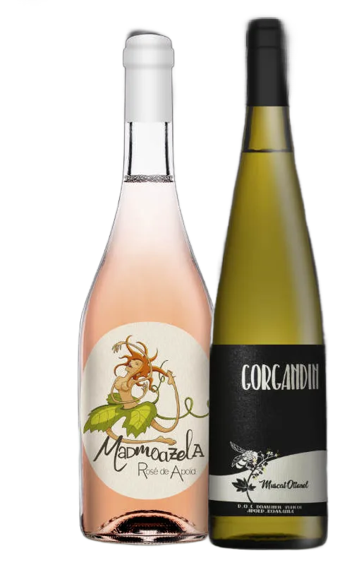 Muscat Ottonel