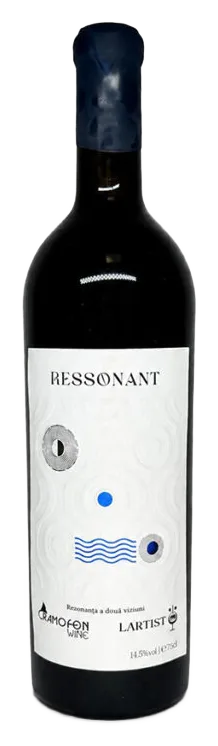 Ressonant – Rezonanța a Două Viziuni