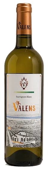 Sauvignon Blanc