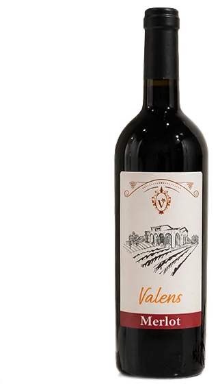 Merlot