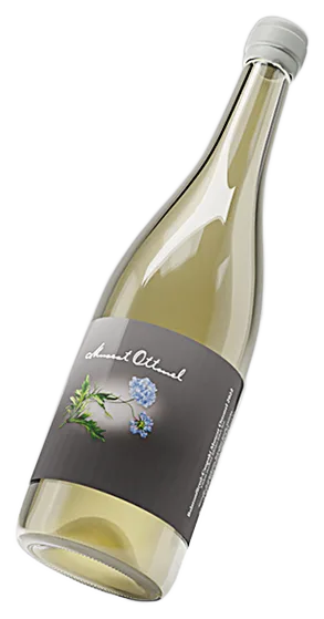 Muscat Ottonel