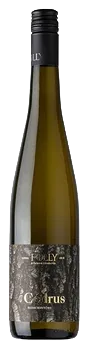 Cédrus 2024