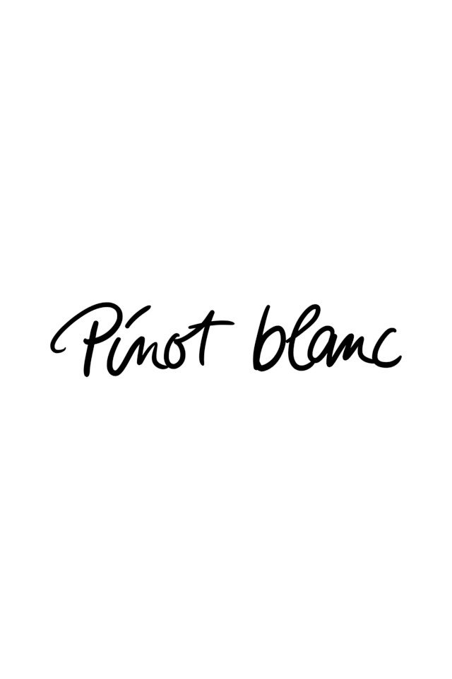 Pinot Blanc Sekt