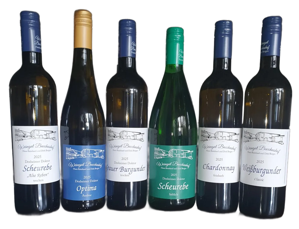 Probepaket 2025er Weine