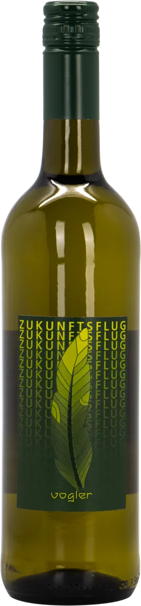 Zukunftsflug