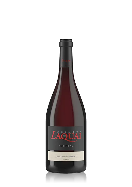 Spätburgunder Rotwein (Lorcher Bodental-Steinberg), trocken