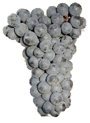 Dakapo