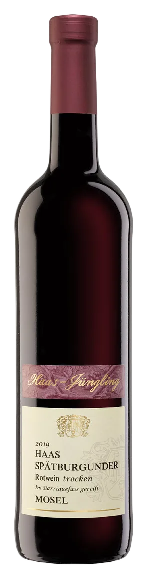 HAAS Spätburgunder Rotwein Barrique trocken