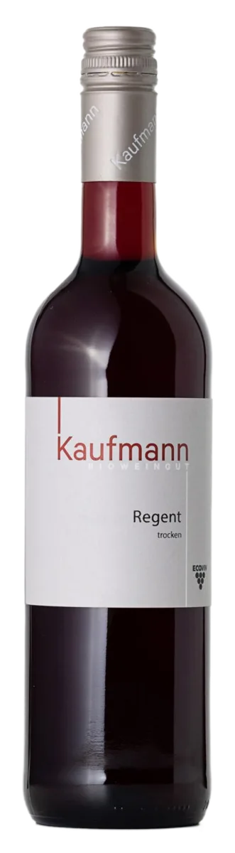 2021 Regent Rotwein trocken Zukunftswein