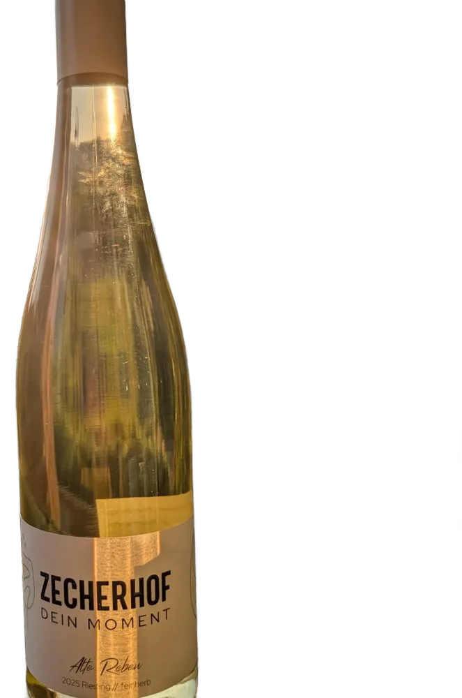 2025 Riesling "Alte Reben" feinherb