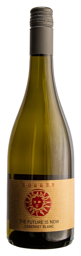 2025 Cabernet blanc, feinherb [BIO] THE FUTURE IS NOW