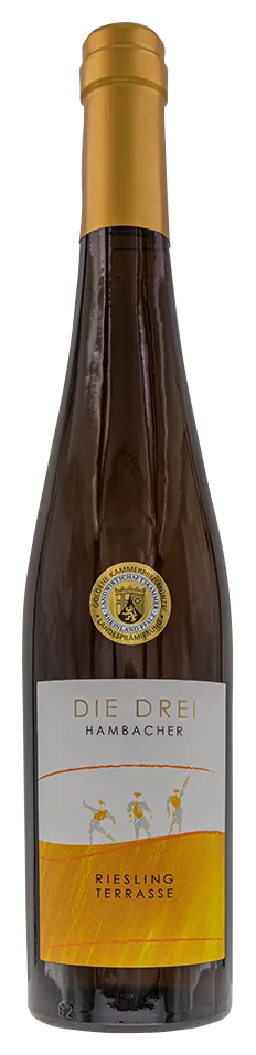 2024 „DIE DREI HAMBACHER“ Riesling Spätlese, trocken mit der goldenen Kapsel