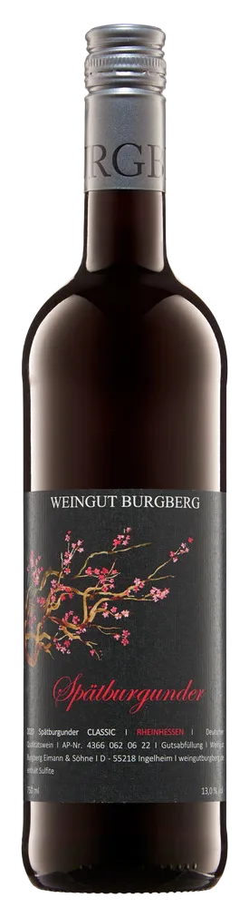 2022er Spätburgunder Classic