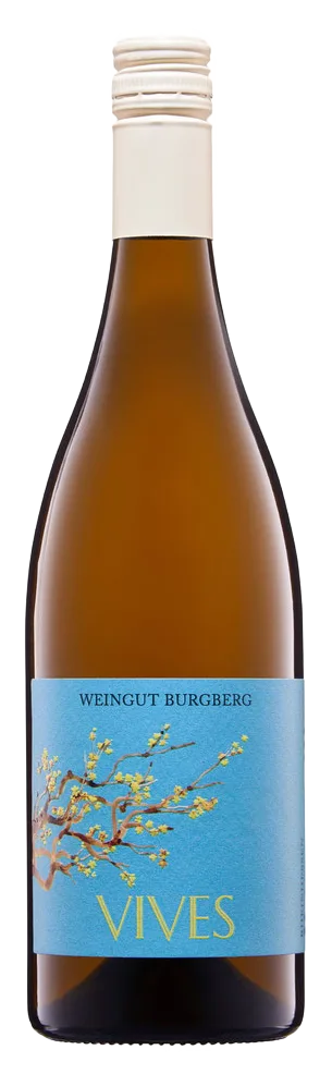 VIVES 2024er Cuvée I Grauer Burgunder & Weißer Burgunder, trocken
