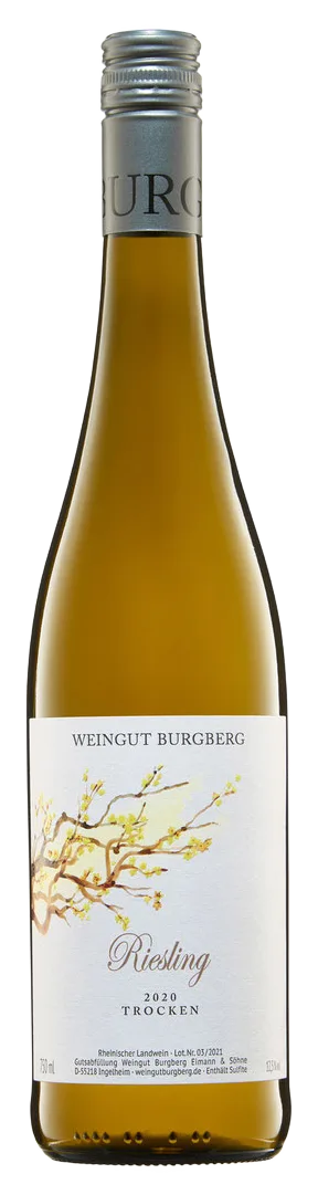 2023er Riesling, trocken