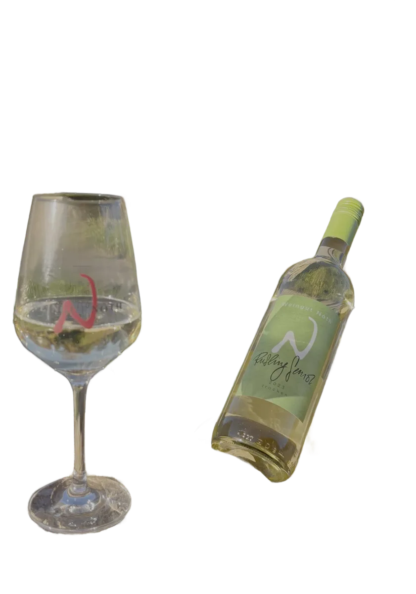2023 Riesling Senior trocken