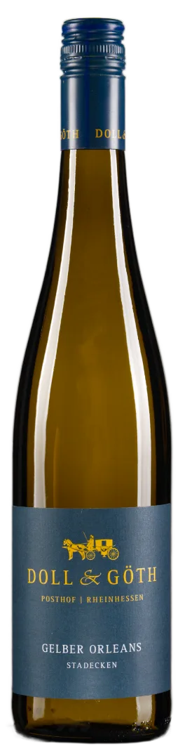 2025er Gelber Orleans Stadecken