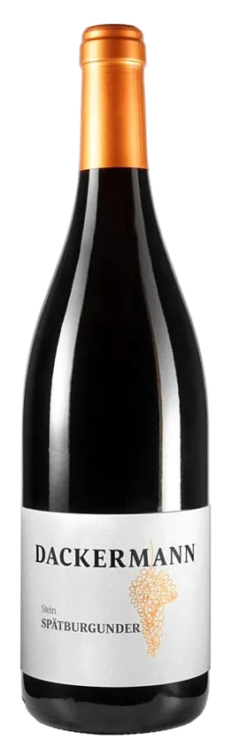 2021 STEIN Spätburgunder LAGENWEIN trocken
