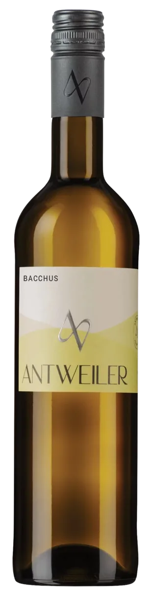 2025er Bacchus lieblich 0,75l