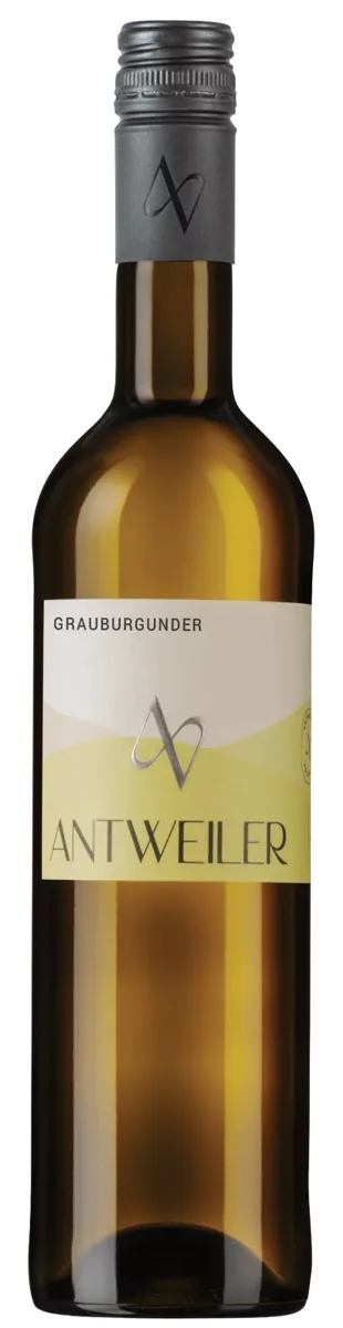 2025er Grauburgunder halbtrocken 0,75l