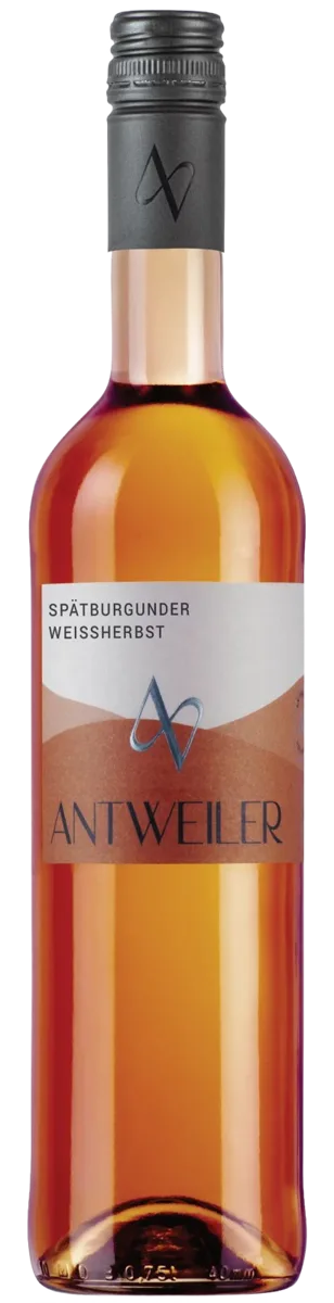 2025er Spätburgunder Weissherbst halbtrocken 0,75l
