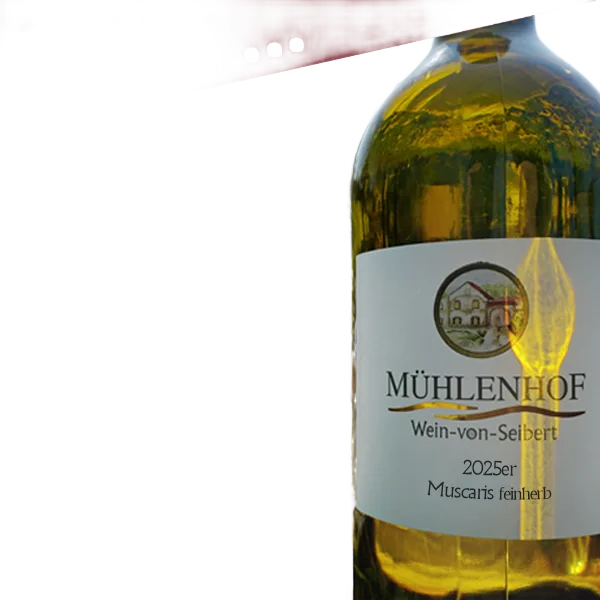 Muscaris feinherb
