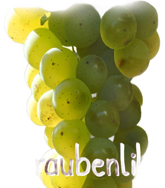 Trauben - Likör