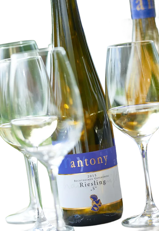 Riesling S trocken Handschrift