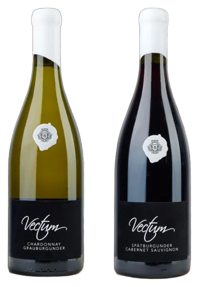 Vectum