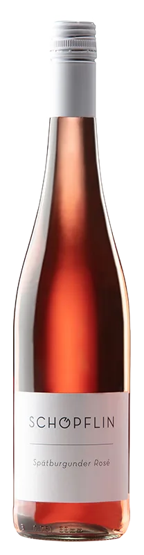 Spätburgunder Rosé Bio