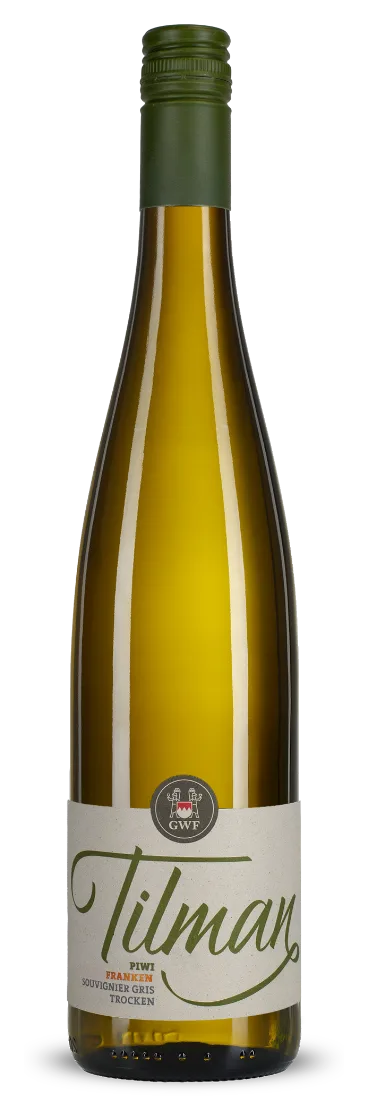 Tilman PIWI Souvignier Gris