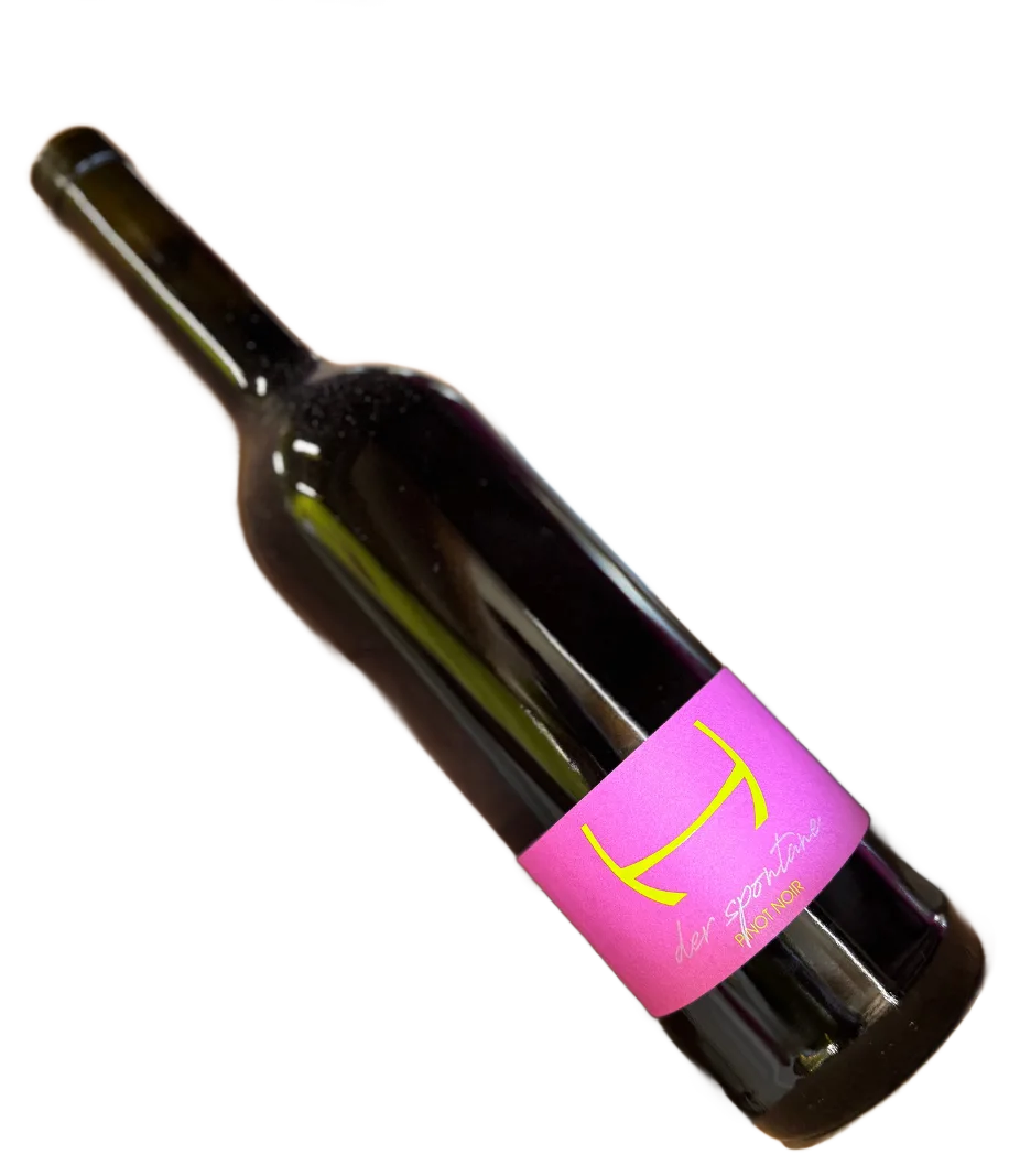 2023 der spontane PINOT NOIR