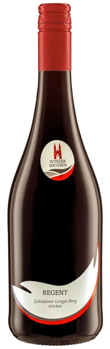 2023 Regent Schliebener Langer Berg Qualitätswein trocken