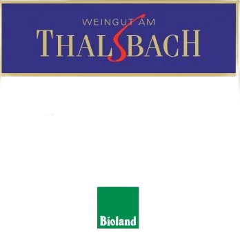 2024 Spätburgunder trocken