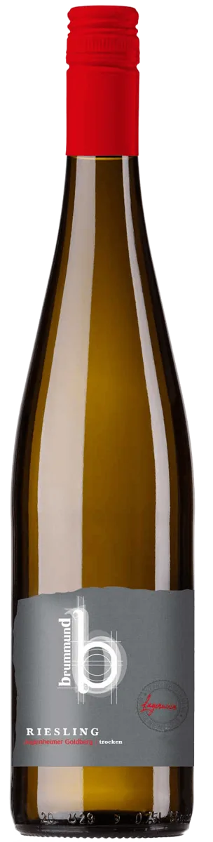 Jugenheimer Goldberg Riesling Trocken