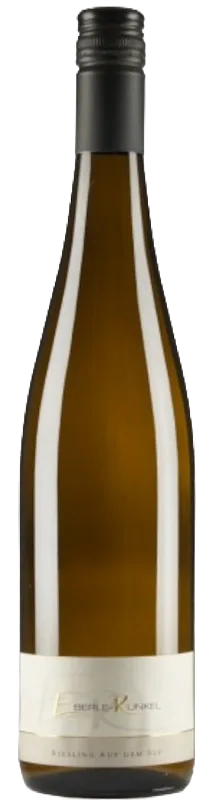 .2023er Nieder-Hilbersheimer Riesling trocken