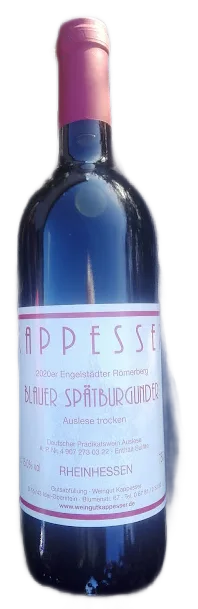2020er Blauer Spätburgunder Auslese trocken – Engelstädter Adelpfad