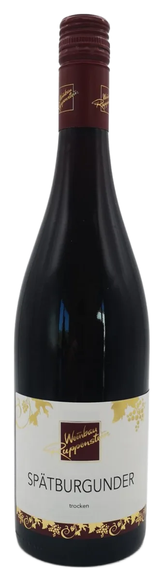 2020 SPÄTBURGUNDER QbA trocken Magnum