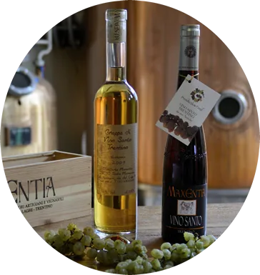 Vino Santo Trentino