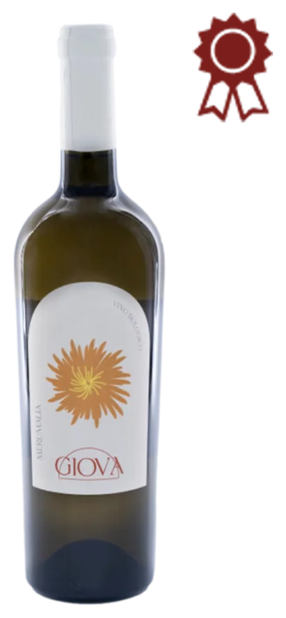 Giova