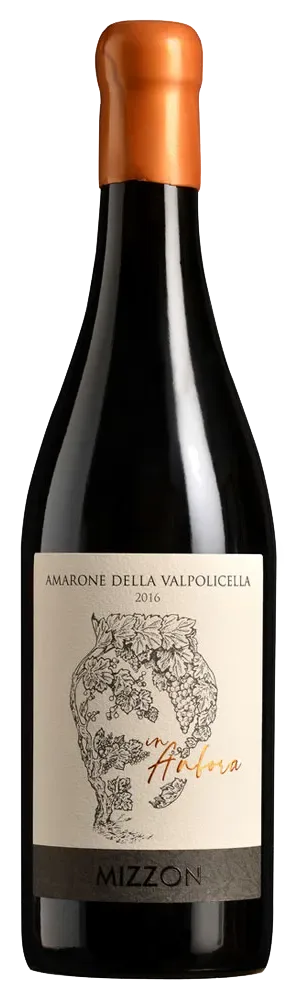Amarone della Valpolicella DOCG Classico in Anfora