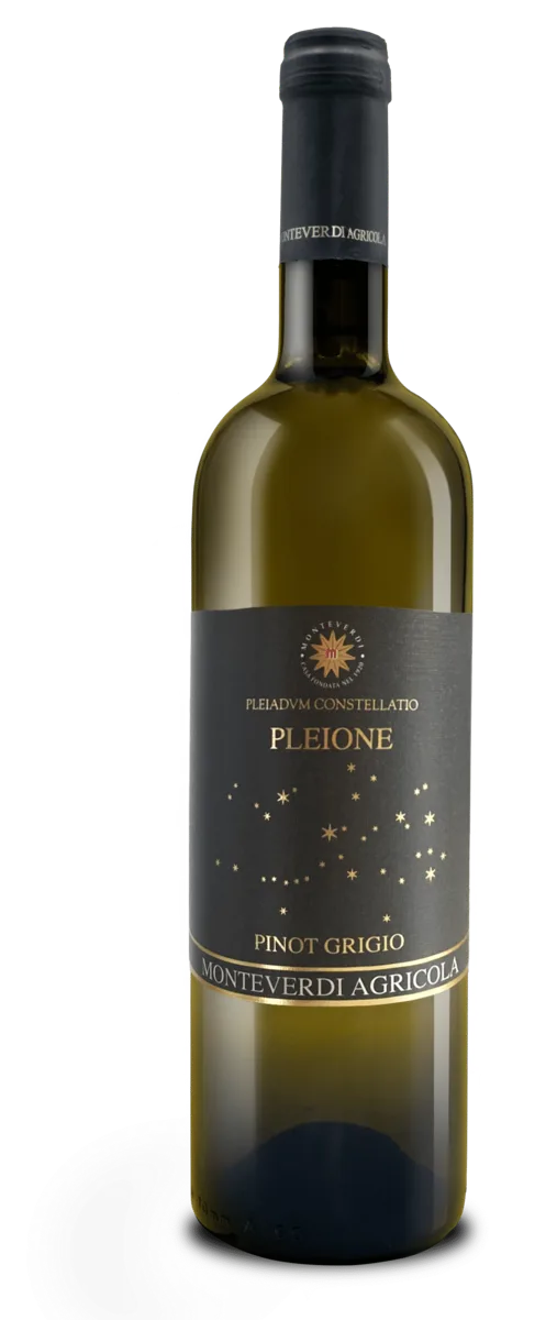 PLEIONE Pinot grigio Emilia