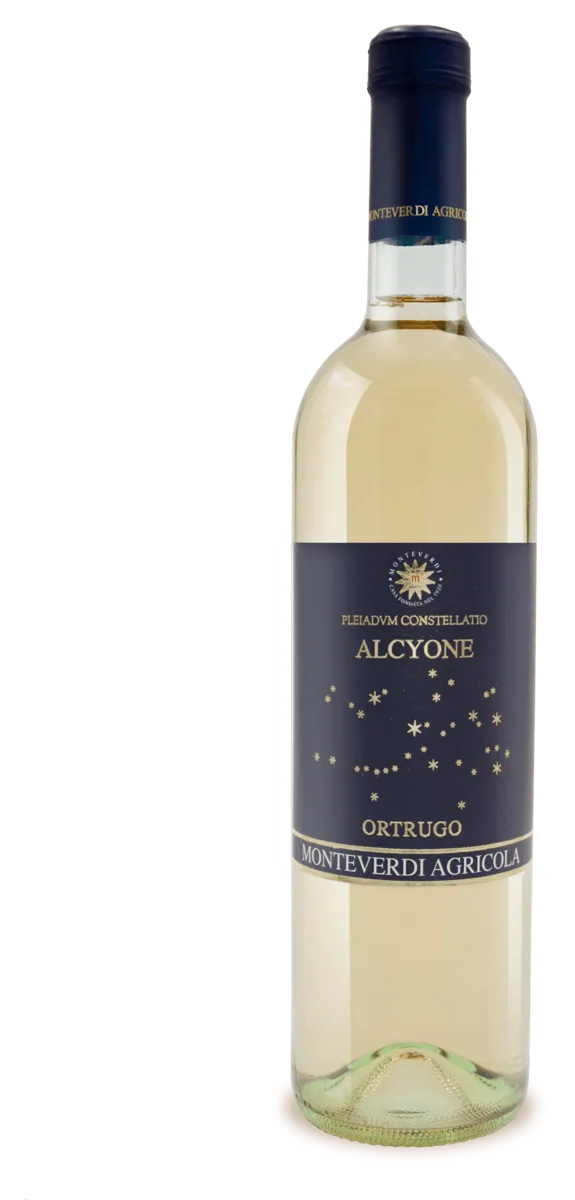 ALCYONE Ortrugo Colli Piacentini