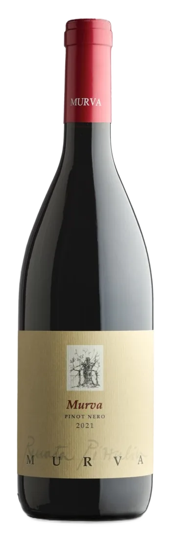 Pinot nero
