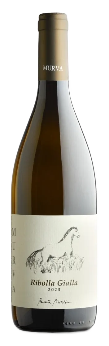 Ribolla Gialla