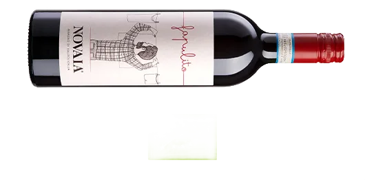 Valpolicella DOC Classico “FAPULITO” no added sulfites