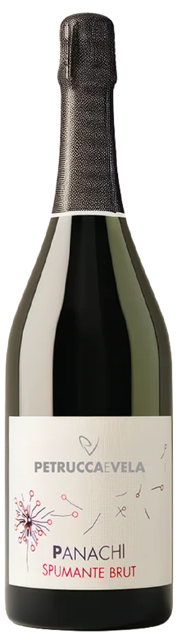 PANACHI