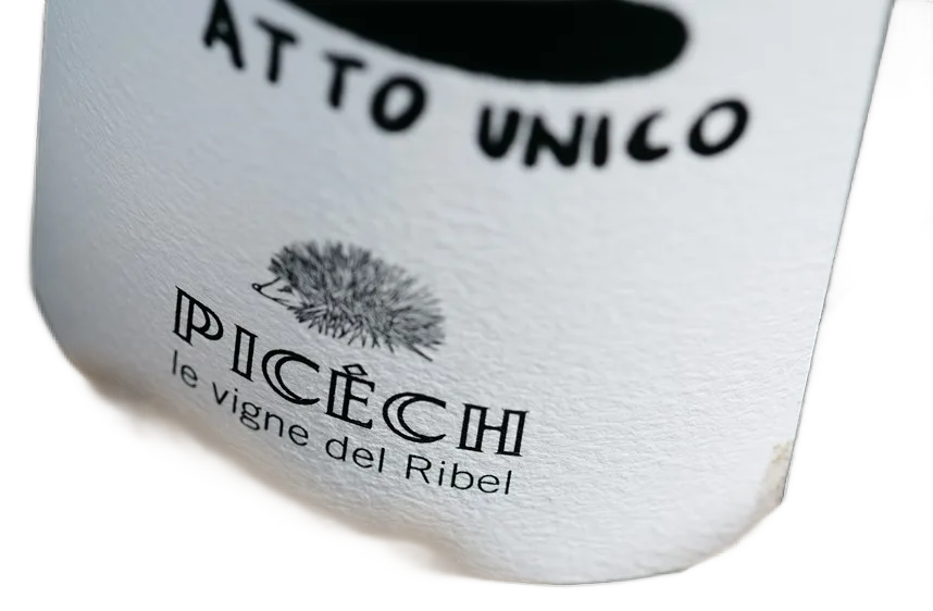ATTO UNICO